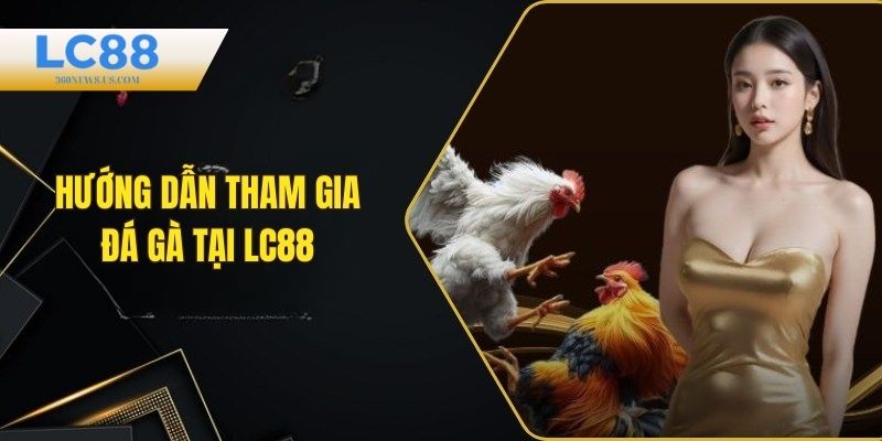 Hướng dẫn cách chơi đá gà tại nhà cái LC88